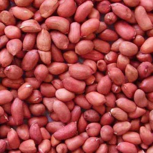 Giant Red Skin Peanuts Roasted & Unsalted
