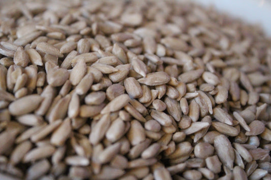 Sunflower Seed